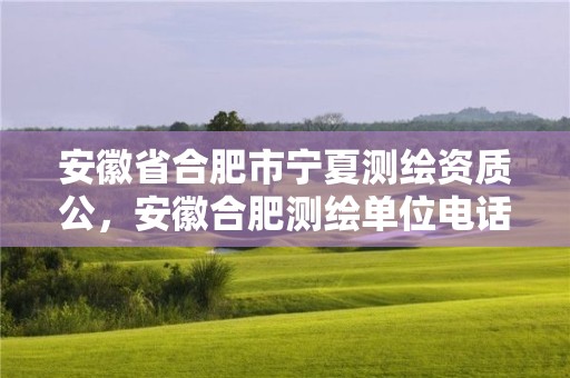 安徽省合肥市宁夏测绘资质公，安徽合肥测绘单位电话