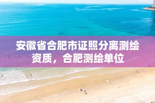 安徽省合肥市证照分离测绘资质，合肥测绘单位