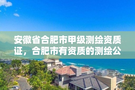 安徽省合肥市甲级测绘资质证，合肥市有资质的测绘公司