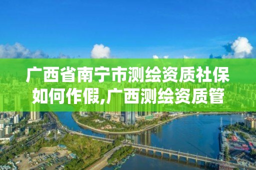 广西省南宁市测绘资质社保如何作假,广西测绘资质管理系统