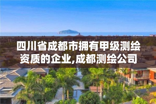 四川省成都市拥有甲级测绘资质的企业,成都测绘公司联系方式。