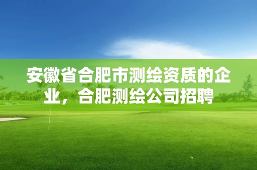 安徽省合肥市测绘资质的企业，合肥测绘公司招聘