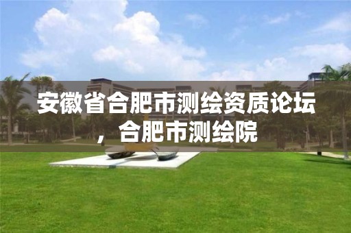 安徽省合肥市测绘资质论坛，合肥市测绘院