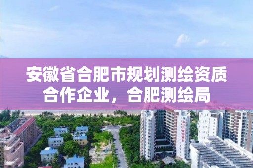 安徽省合肥市规划测绘资质合作企业，合肥测绘局