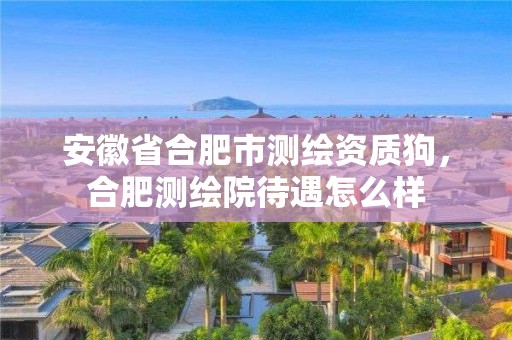 安徽省合肥市测绘资质狗，合肥测绘院待遇怎么样