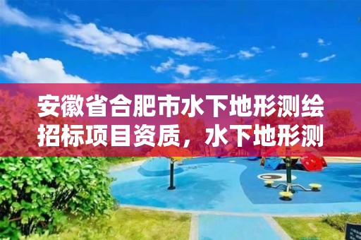 安徽省合肥市水下地形测绘招标项目资质，水下地形测绘收费标准