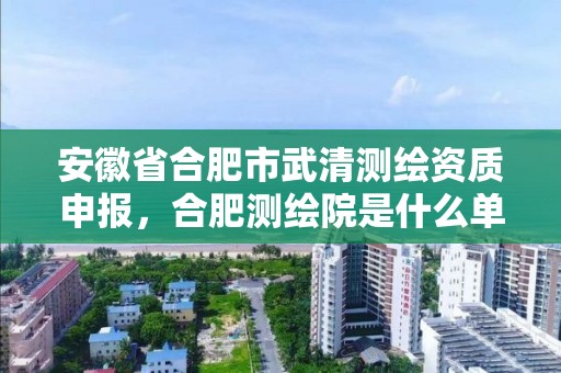 安徽省合肥市武清测绘资质申报，合肥测绘院是什么单位