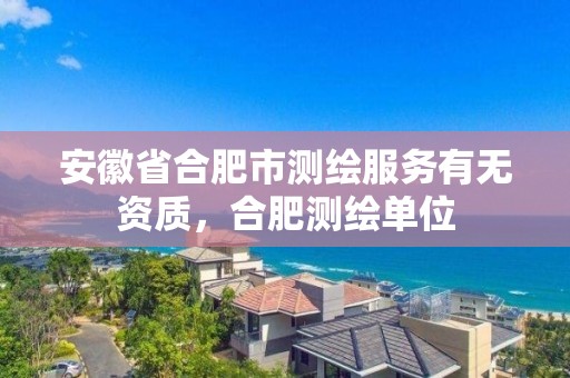 安徽省合肥市测绘服务有无资质，合肥测绘单位