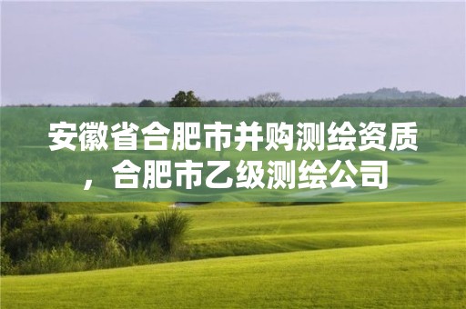 安徽省合肥市并购测绘资质，合肥市乙级测绘公司