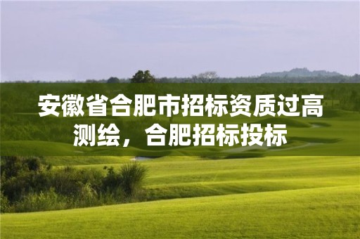 安徽省合肥市招标资质过高测绘，合肥招标投标