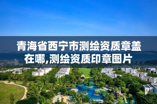 青海省西宁市测绘资质章盖在哪,测绘资质印章图片