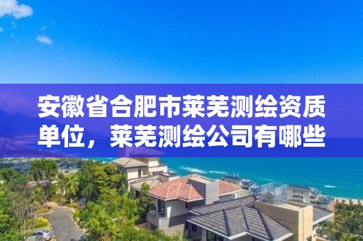 安徽省合肥市莱芜测绘资质单位，莱芜测绘公司有哪些