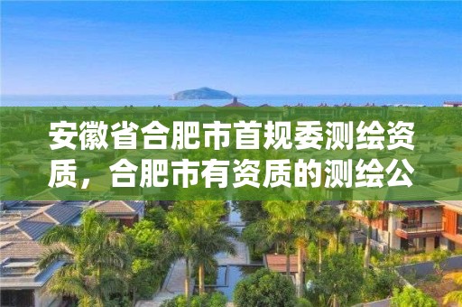 安徽省合肥市首规委测绘资质，合肥市有资质的测绘公司