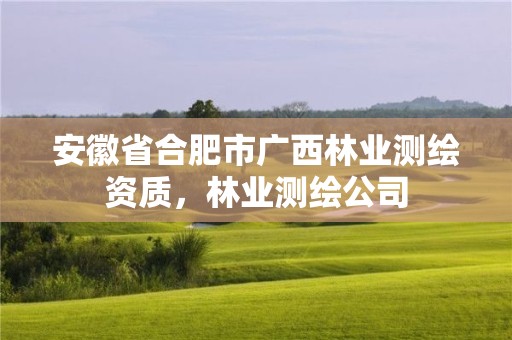 安徽省合肥市广西林业测绘资质，林业测绘公司