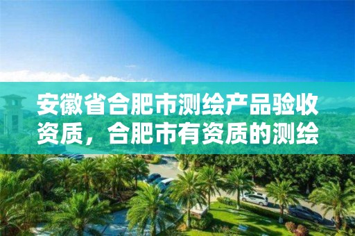 安徽省合肥市测绘产品验收资质，合肥市有资质的测绘公司