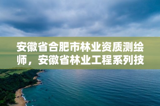 安徽省合肥市测绘师，安徽省林业工程系列技术资格评审标准条件