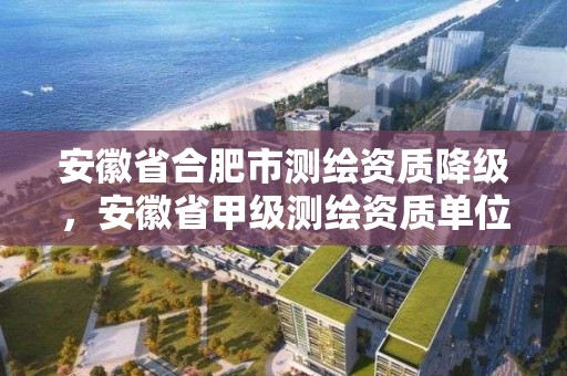 安徽省合肥市测绘资质降级，安徽省甲级测绘资质单位