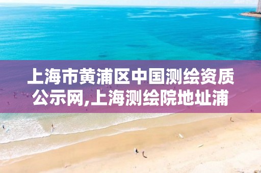 上海市黄浦区中国测绘资质公示网,上海测绘院地址浦东