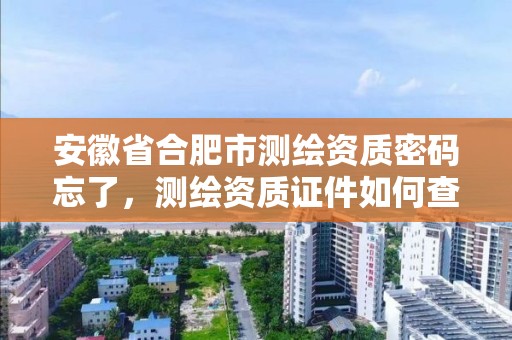 安徽省合肥市测绘资质密码忘了，测绘资质证件如何查询