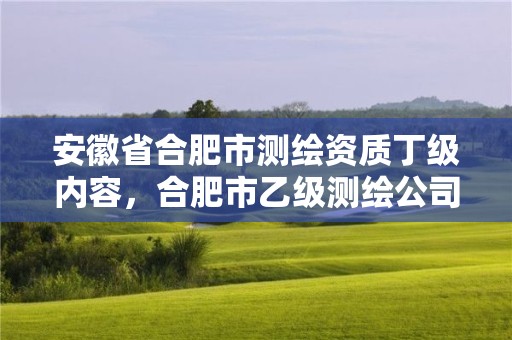 安徽省合肥市测绘资质丁级内容，合肥市乙级测绘公司