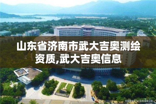 山东省济南市武大吉奥测绘资质,武大吉奥信息