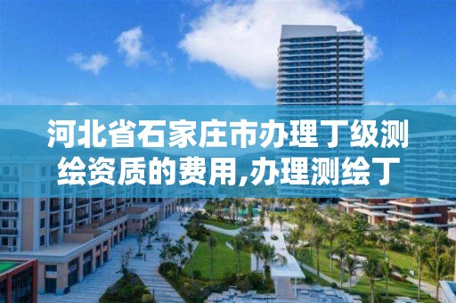 河北省石家庄市办理丁级测绘资质的费用,办理测绘丁级资质需要什么条件。