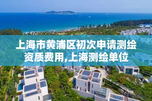 上海市黄浦区初次申请测绘资质费用,上海测绘单位