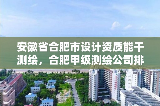 安徽省合肥市设计资质能干测绘，合肥甲级测绘公司排行