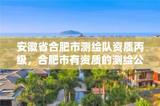 安徽省合肥市测绘队资质丙级，合肥市有资质的测绘公司