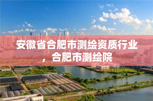 安徽省合肥市测绘资质行业，合肥市测绘院