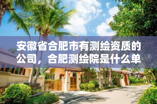 安徽省合肥市有测绘资质的公司，合肥测绘院是什么单位