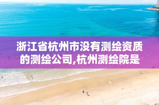 浙江省杭州市没有测绘资质的测绘公司,杭州测绘院是什么单位