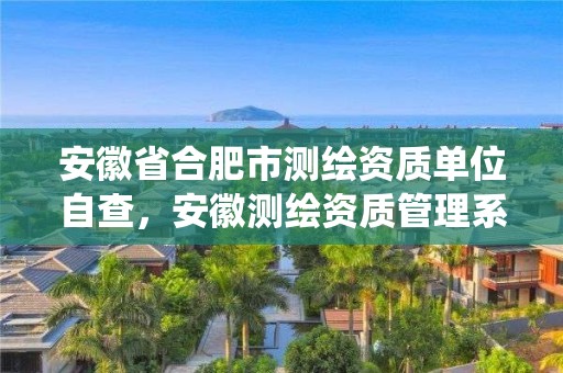 安徽省合肥市测绘资质单位自查，安徽测绘资质管理系统