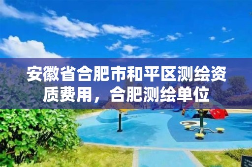 安徽省合肥市和平区测绘资质费用，合肥测绘单位