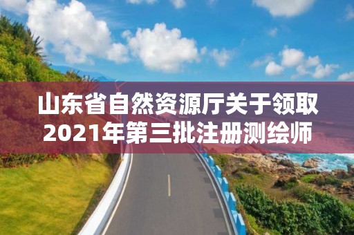 山东省自然资源厅关于领取2021年第三批注册测绘师证章的公告