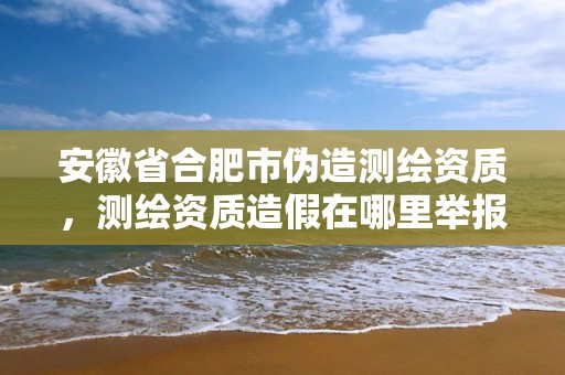 安徽省合肥市伪造测绘资质，测绘资质造假在哪里举报