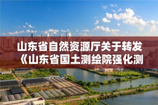 山东省自然资源厅关于转发《山东省国土测绘院强化测绘地理信息技术保障服务全省经济社会高质量发展项目清单》的通知