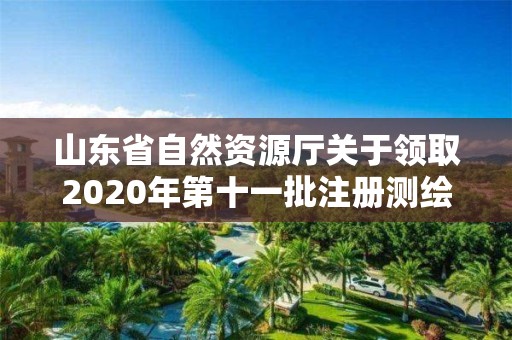 山东省自然资源厅关于领取2020年第十一批注册测绘师证章的公告