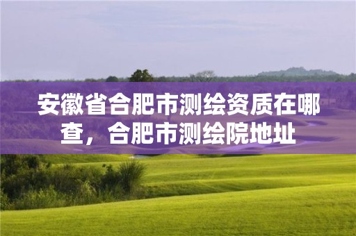 安徽省合肥市测绘资质在哪查，合肥市测绘院地址