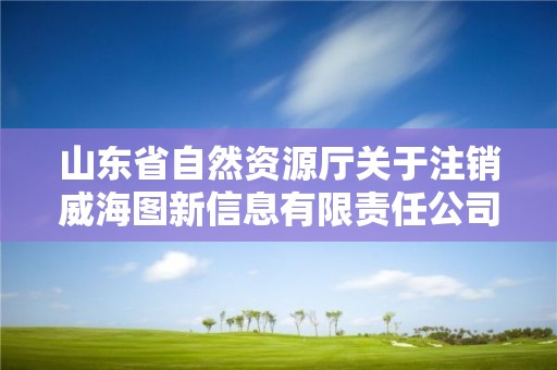 山东省自然资源厅关于注销威海图新信息有限责任公司等单位测绘资质的公告