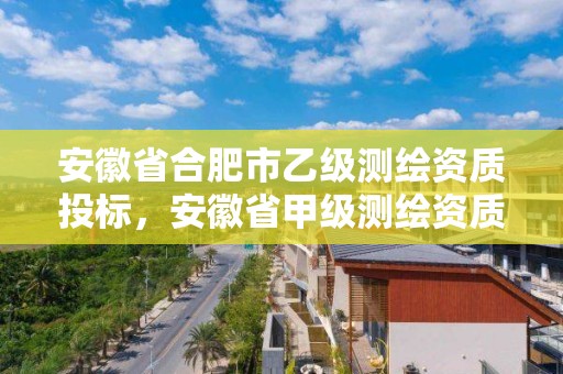 安徽省合肥市乙级测绘资质投标，安徽省甲级测绘资质单位