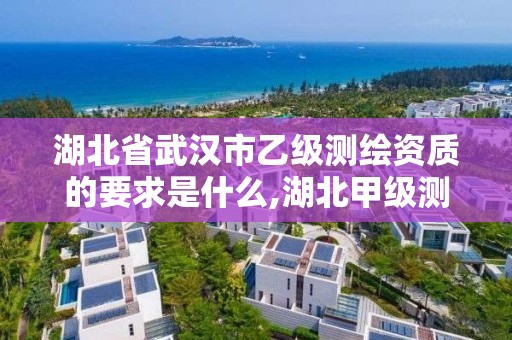 湖北省武汉市乙级测绘资质的要求是什么,湖北甲级测绘资质单位。