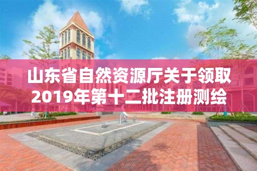 山东省自然资源厅关于领取2019年第十二批注册测绘师证章的公告