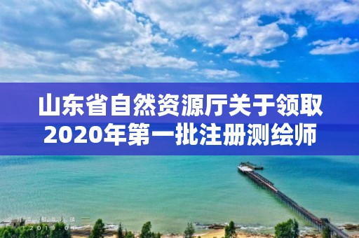 山东省自然资源厅关于领取2020年第一批注册测绘师证章的公告