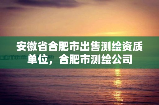 安徽省合肥市出售测绘资质单位，合肥市测绘公司