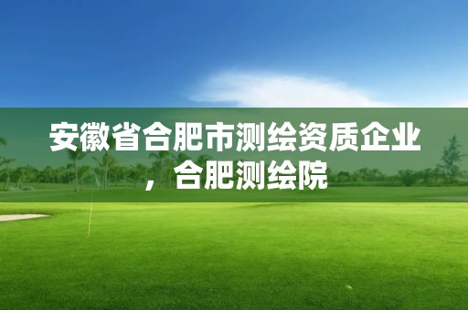 安徽省合肥市测绘资质企业，合肥测绘院