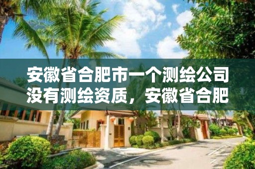 安徽省合肥市一个测绘公司没有测绘资质，安徽省合肥市一个测绘公司没有测绘资质的有哪些