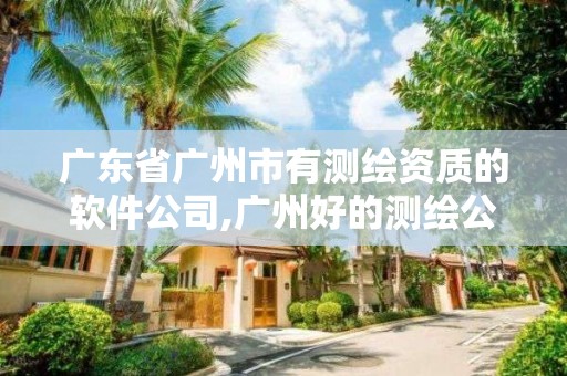 广东省广州市有测绘资质的软件公司,广州好的测绘公司。