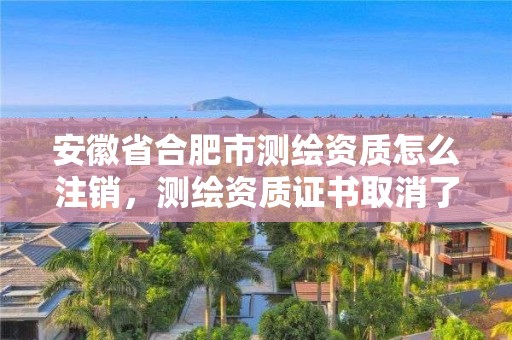 安徽省合肥市测绘资质怎么注销，测绘资质证书取消了吗