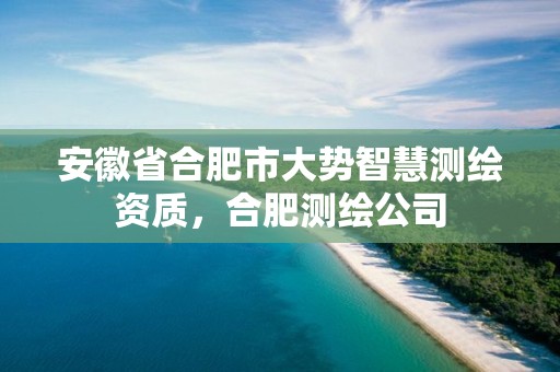 安徽省合肥市大势智慧测绘资质，合肥测绘公司